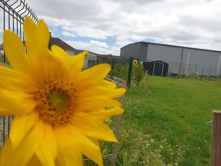 Chambre Calme Dans Une Maison Neuve Avec Jardin Billere Exterior photo